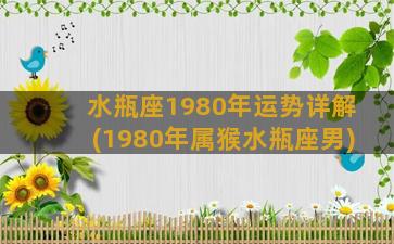 水瓶座1980年运势详解(1980年属猴水瓶座男)