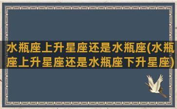 水瓶座上升星座还是水瓶座(水瓶座上升星座还是水瓶座下升星座)