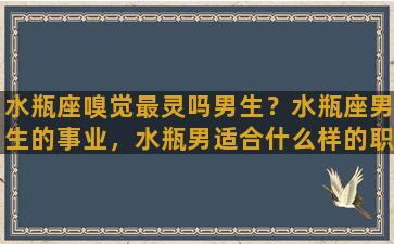 水瓶座嗅觉最灵吗男生？水瓶座男生的事业，水瓶男适合什么样的职业