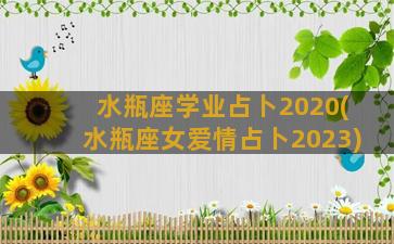 水瓶座学业占卜2020(水瓶座女爱情占卜2023)