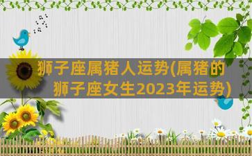 狮子座属猪人运势(属猪的狮子座女生2023年运势)