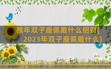 猴年双子座佩戴什么招财(2023年双子座佩戴什么)