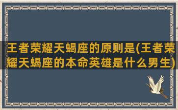 王者荣耀天蝎座的原则是(王者荣耀天蝎座的本命英雄是什么男生)