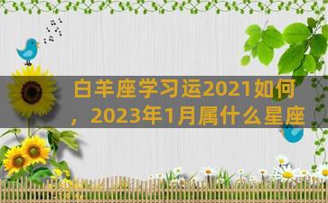 白羊座学习运2021如何，2023年1月属什么星座