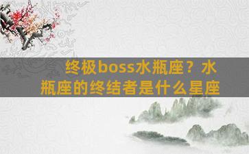 终极boss水瓶座？水瓶座的终结者是什么星座