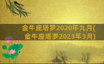 金牛座塔罗2020年九月(金牛座塔罗2023年3月)