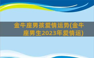 金牛座男孩爱情运势(金牛座男生2023年爱情运)