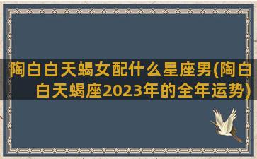 陶白白天蝎女配什么星座男(陶白白天蝎座2023年的全年运势)