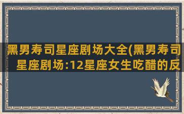 黑男寿司星座剧场大全(黑男寿司星座剧场:12星座女生吃醋的反应)